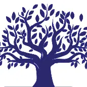 عکس حمید رضا سلیمانی